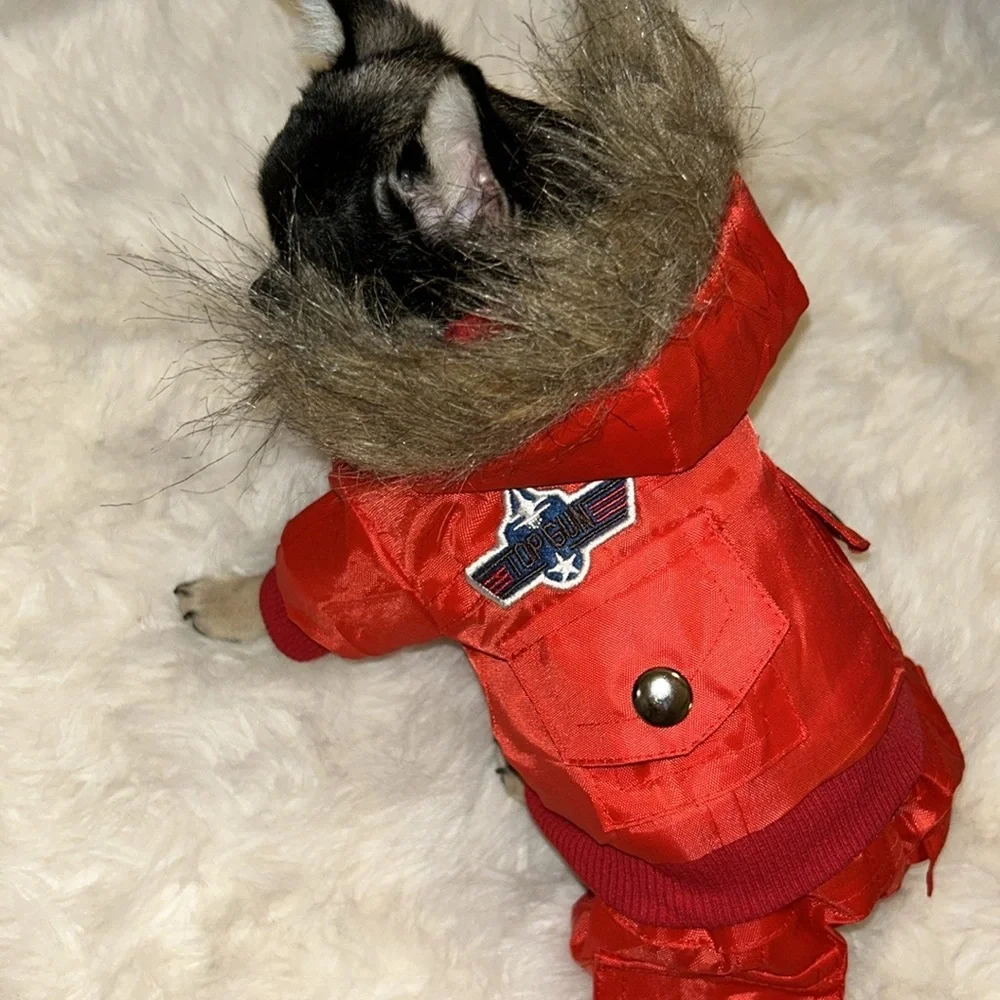 Cozy dog winter jacket